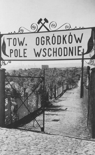 tabl chorzow miedz.JPG
